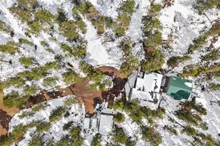 82 Iris Dr, Bailey, CO 80421 - Photo 3