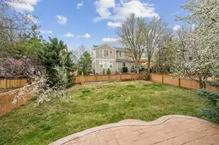 557 Stellars Jay Dr, Highlands Ranch, CO 80129 - Photo 29