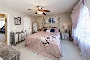 343 Chelsea St, Castle Rock, CO 80104 - Photo 29