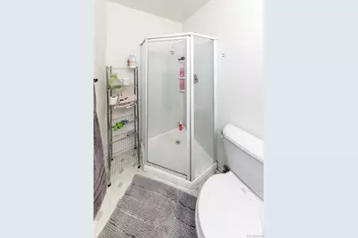 343 Chelsea Street, Castle Rock, CO 80104 - Photo 27