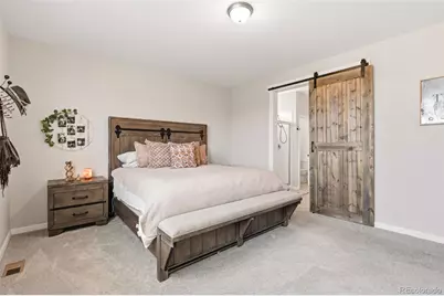 1811 Branching Canopy Drive, Windsor, CO 80550 - Photo 23