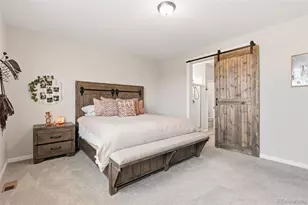1811 Branching Canopy Dr, Windsor, CO 80550 - Photo 23