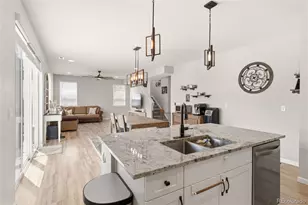 1811 Branching Canopy Dr, Windsor, CO 80550 - Photo 19