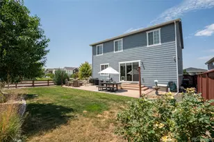 1811 Branching Canopy Dr, Windsor, CO 80550 - Photo 33
