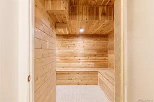 334 Ivy St, Denver, CO 80220 - Photo 37