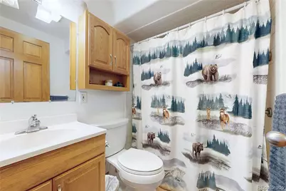 39 Snider Point, Shawnee, CO 80475 - Photo 33