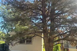 704 Meadowlark Dr, Lafayette, CO 80026 - Photo 7