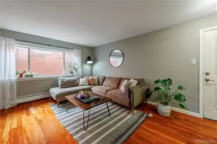 1332 N Williams St, Denver, CO 80218 - Photo 1