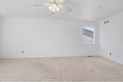 20228 Andrews Place, Denver, CO 80249 - Photo 21