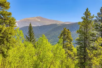 715 Lewsader Road, Alma, CO 80420 - Photo 1