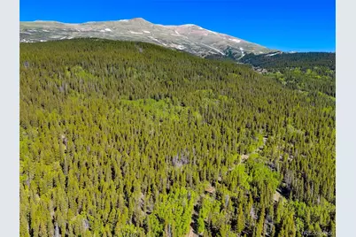 715 Lewsader Road, Alma, CO 80420 - Photo 5