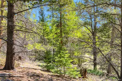 715 Lewsader Road, Alma, CO 80420 - Photo 19