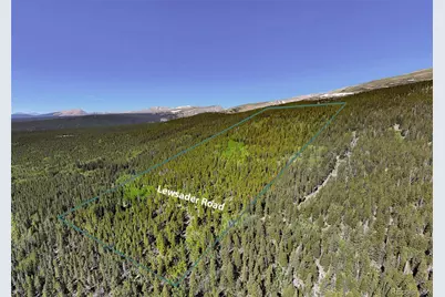 715 Lewsader Road, Alma, CO 80420 - Photo 21