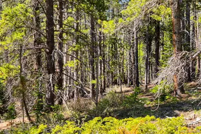 715 Lewsader Road, Alma, CO 80420 - Photo 9