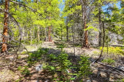 715 Lewsader Road, Alma, CO 80420 - Photo 11