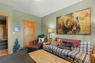 157 Prunes Pl, Fairplay, CO 80440 - Photo 29
