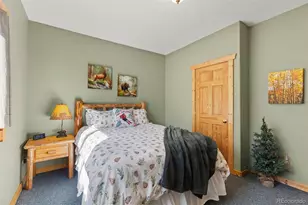 157 Prunes Pl, Fairplay, CO 80440 - Photo 19