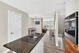 10820 Summerset Way, Parker, CO 80138 - Photo 13