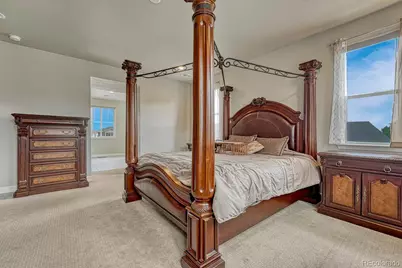 6475 Steuben Court, Castle Rock, CO 80108 - Photo 29