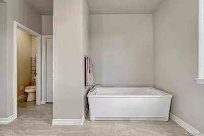6475 Steuben Court, Castle Rock, CO 80108 - Photo 31