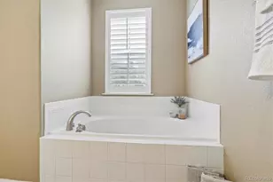 485 Elmhurst Way, Highlands Ranch, CO 80129 - Photo 33