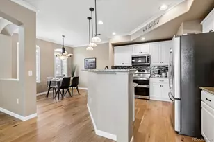 485 Elmhurst Way, Highlands Ranch, CO 80129 - Photo 15