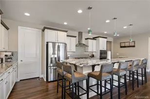 6655 Mentha Dr, Castle Rock, CO 80108 - Photo 9