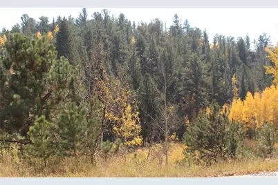 2012 Shelton Drive, Bailey, CO 80421 - Photo 3