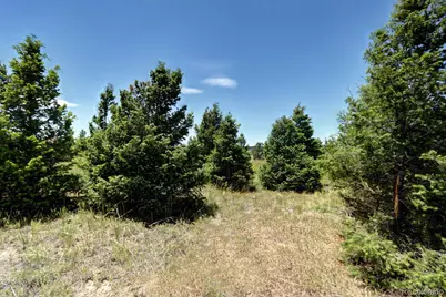 11200 S State Highway 83, Franktown, CO 80116 - Photo 29