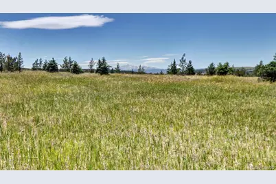 11200 S State Highway 83, Franktown, CO 80116 - Photo 31