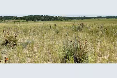 11200 S State Highway 83, Franktown, CO 80116 - Photo 35