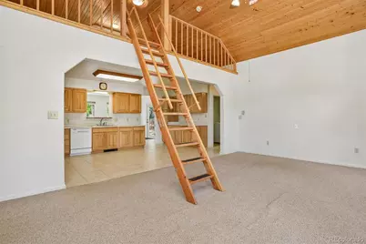 233 Brookdale Avenue, Buena Vista, CO 81211 - Photo 11