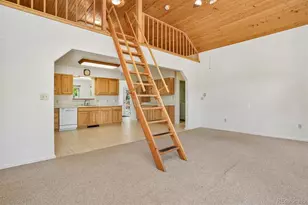 233 Brookdale Ave, Buena Vista, CO 81211 - Photo 11