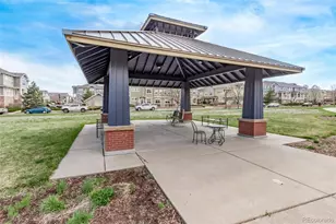 9318 Las Ramblas Ct, Parker, CO 80134 - Photo 27
