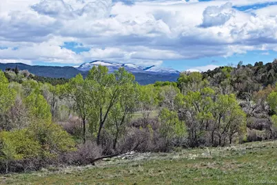 1006 Spring Street, Collbran, CO 81624 - Photo 21