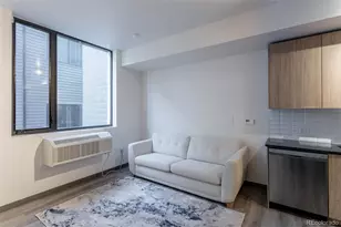 603 Inca St, Denver, CO 80204 - Photo 11