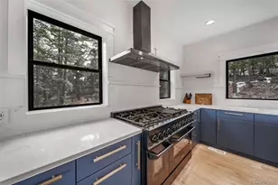 25553 Mountain Moss Ct, Evergreen, CO 80439 - Photo 13