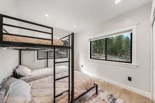 25553 Mountain Moss Ct, Evergreen, CO 80439 - Photo 25