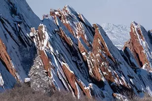 7668 Brown Bear Way, Littleton, CO 80125 - Photo 29
