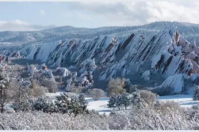 7668 Brown Bear Way, Littleton, CO 80125 - Photo 31