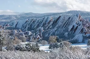 7668 Brown Bear Way, Littleton, CO 80125 - Photo 31