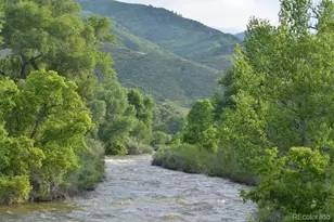 7668 Brown Bear Way, Littleton, CO 80125 - Photo 33