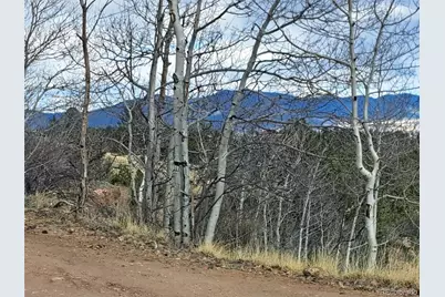 908 Raven Way, Como, CO 80432 - Photo 15