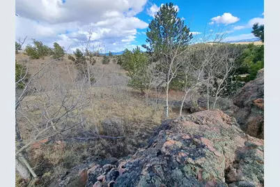 908 Raven Way, Como, CO 80432 - Photo 9