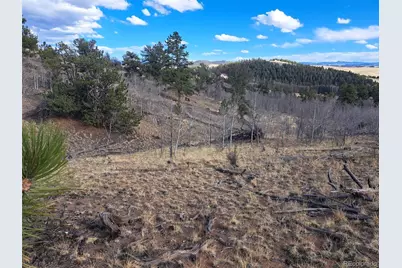 908 Raven Way, Como, CO 80432 - Photo 17