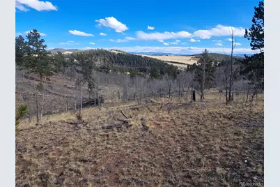 908 Raven Way, Como, CO 80432 - Photo 25