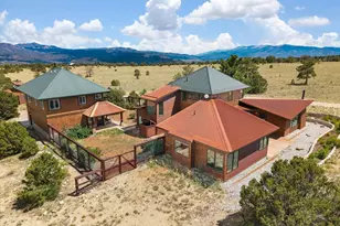 17121 Kiowa Rd, Nathrop, CO 81236 - Photo 41