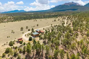 17121 Kiowa Rd, Nathrop, CO 81236 - Photo 47