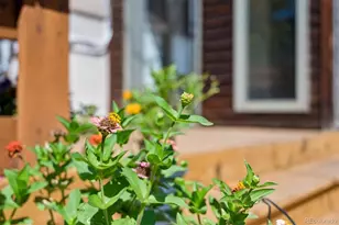 534 S Logan St, Denver, CO 80209 - Photo 39