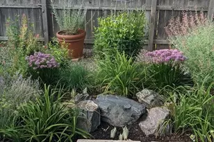 7366 W 75th Ave, Arvada, CO 80003 - Photo 45